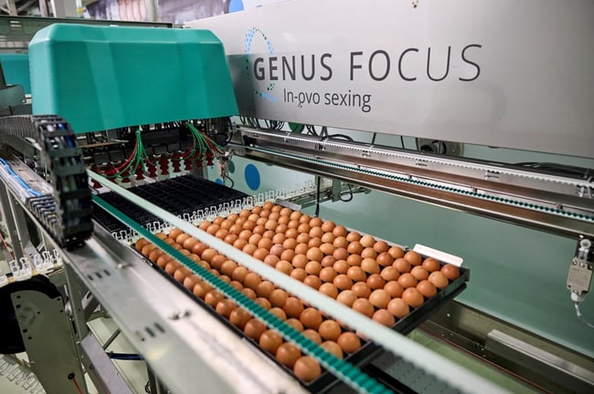 2024 Installatie Genus Focus