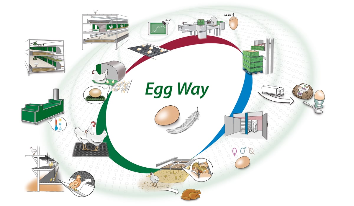 2024-Egg-Way